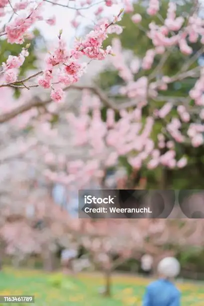 北九州市内の高齢者向け施設ガイド - 小倉北区編