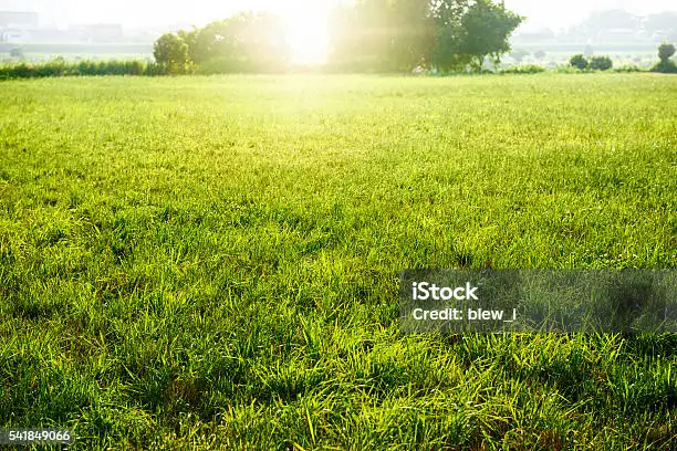 冬の送迎で気をつけていること - 安全運転のポイント